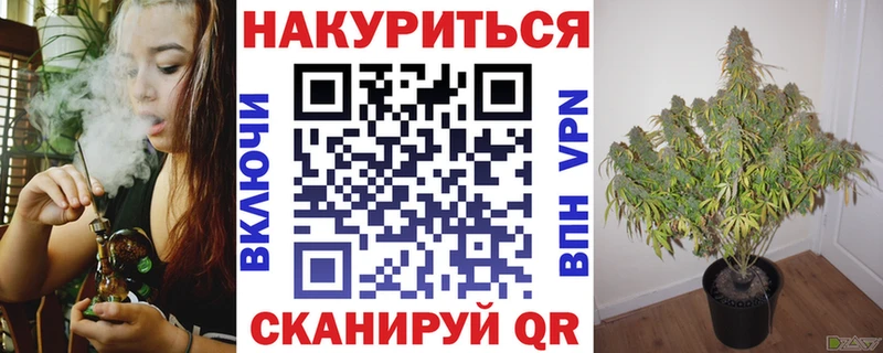 Купить где  Киренск  Бошки марихуана Bruce Banner 